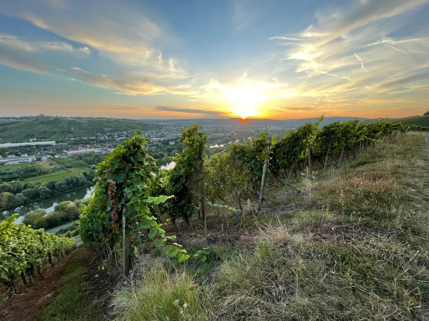 Weinkeller, umgebung